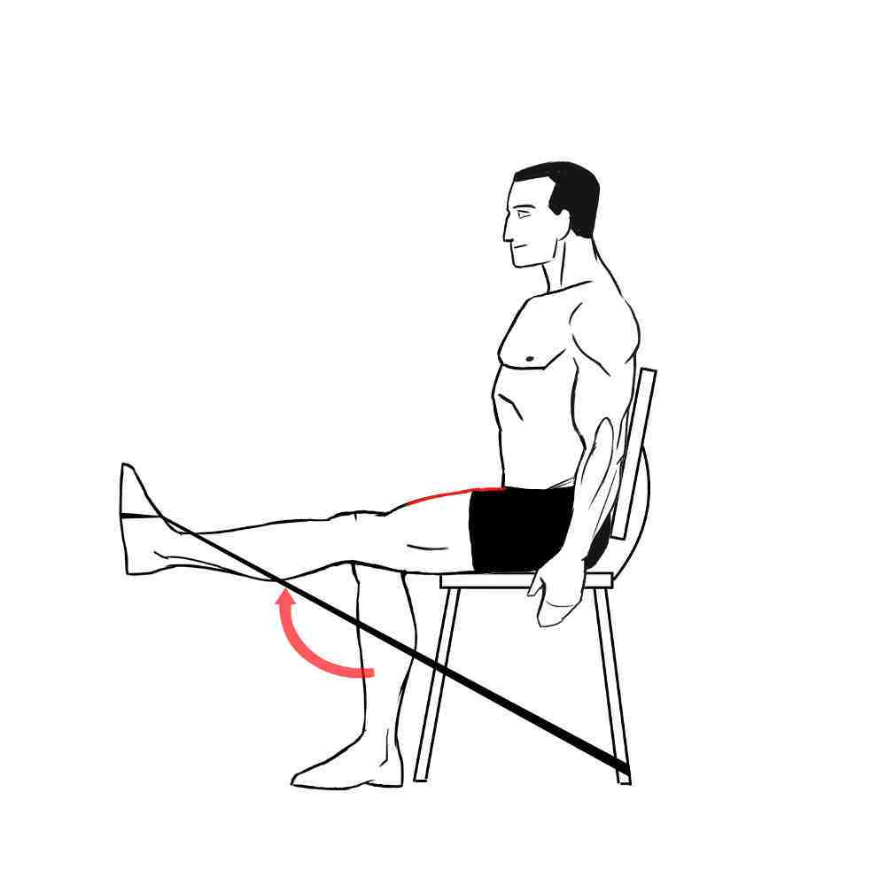 Hip or Knee Osteoarthritis (OA) Exercises PTHelper