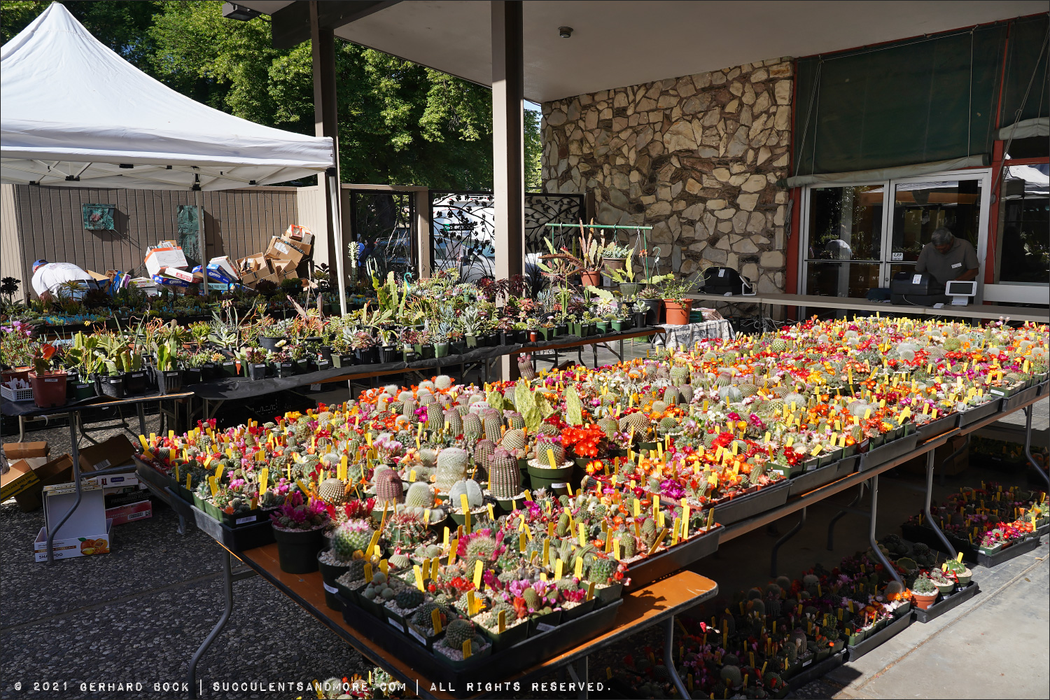 Huge Sacramento succulent sale April 30—May 2, 2021