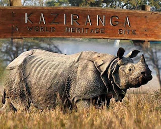 KAZIRANGA NATIONAL PARK অসমৰ ৰাষ্ট্ৰীয় উদ্যান - কাজিৰঙা