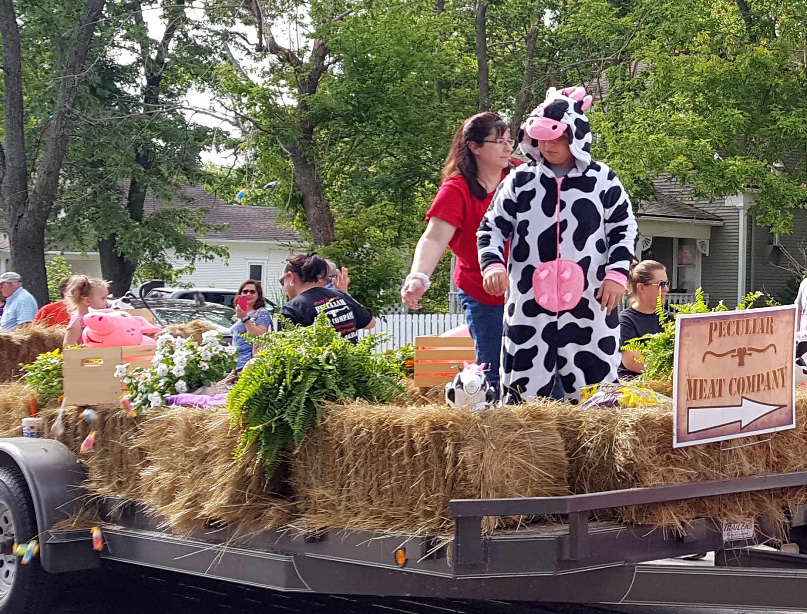 Wandering His Wonders Our Peculiar Life in Peculiar, Missouri