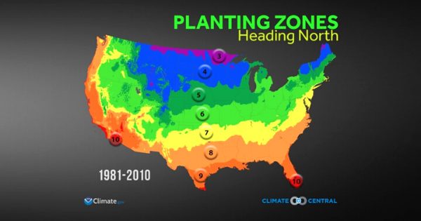 Us Dept Of Agriculture Zones Pengertian Usda Hardiness Zones Ciriciripohon Com