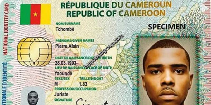Cameroon Id Card Check Online