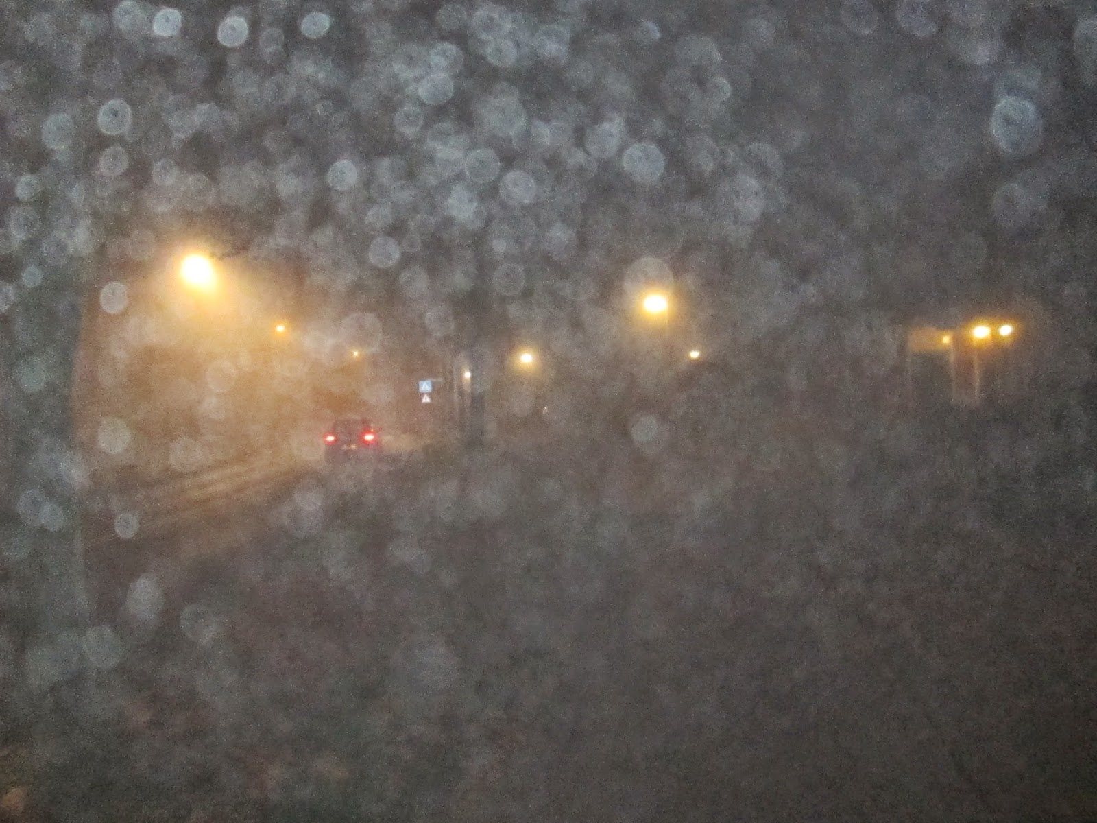 BEIJUMNIEUWS KIJK UIT VOOR ZEER DICHTE