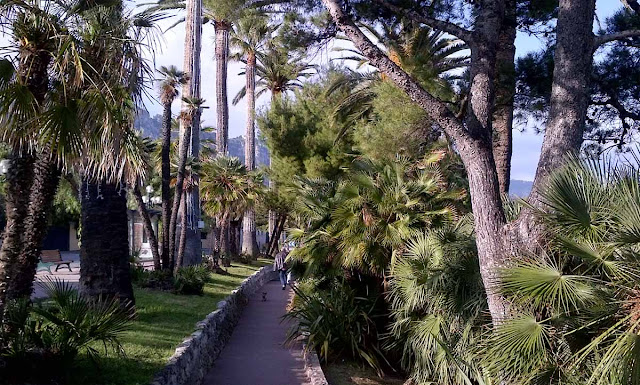 hohe Palmen säumen Fußweg an dem Küstenort Beaulieu-sur-mer, Spaziergänger mit Hund
