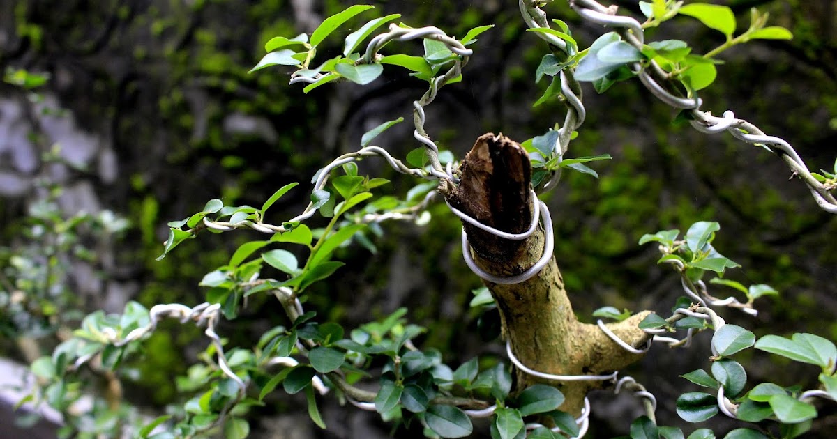 Hidup Akan Terasa Indah Apabila Tidak Mencampuri Urusan Orang Lain