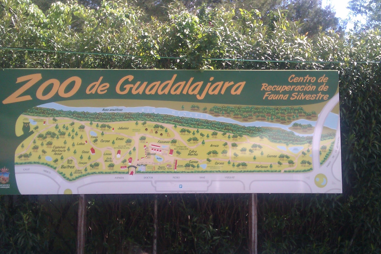 Qué hacer con nenes ZOOLOGICO MUNICIPAL DE GUADALAJARA Qué hacer con nenes ZOOLOGICO MUNICIPAL DE GUADALAJARA