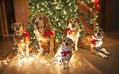 Merry Christmas Wallpaper Free Download HD for Facebook Merry Christmas Wallpaper Free Download HD for Facebook