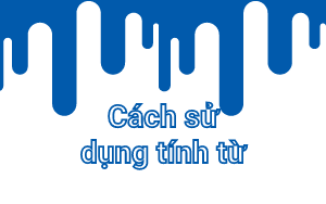 Cách Miêu Tả Người Trong Tiếng Pháp.