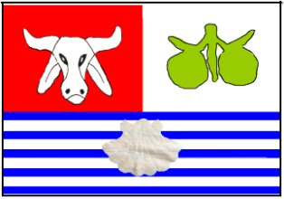 Resultado de imagem para bandeira de conde ba