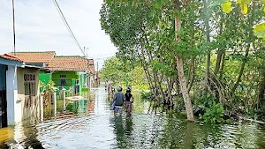 Dekan FP Unikal Ungkap Sebab-sebab Rob dan Banjir Serta Prediksi Hilangnya Kota Pekalongan