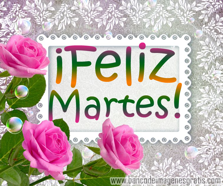 Feliz martes!!