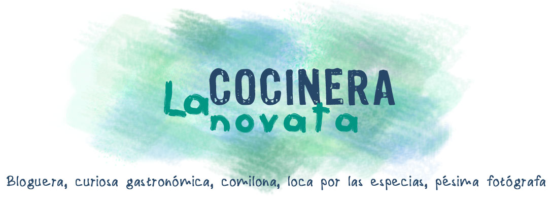 LA COCINERA NOVATA