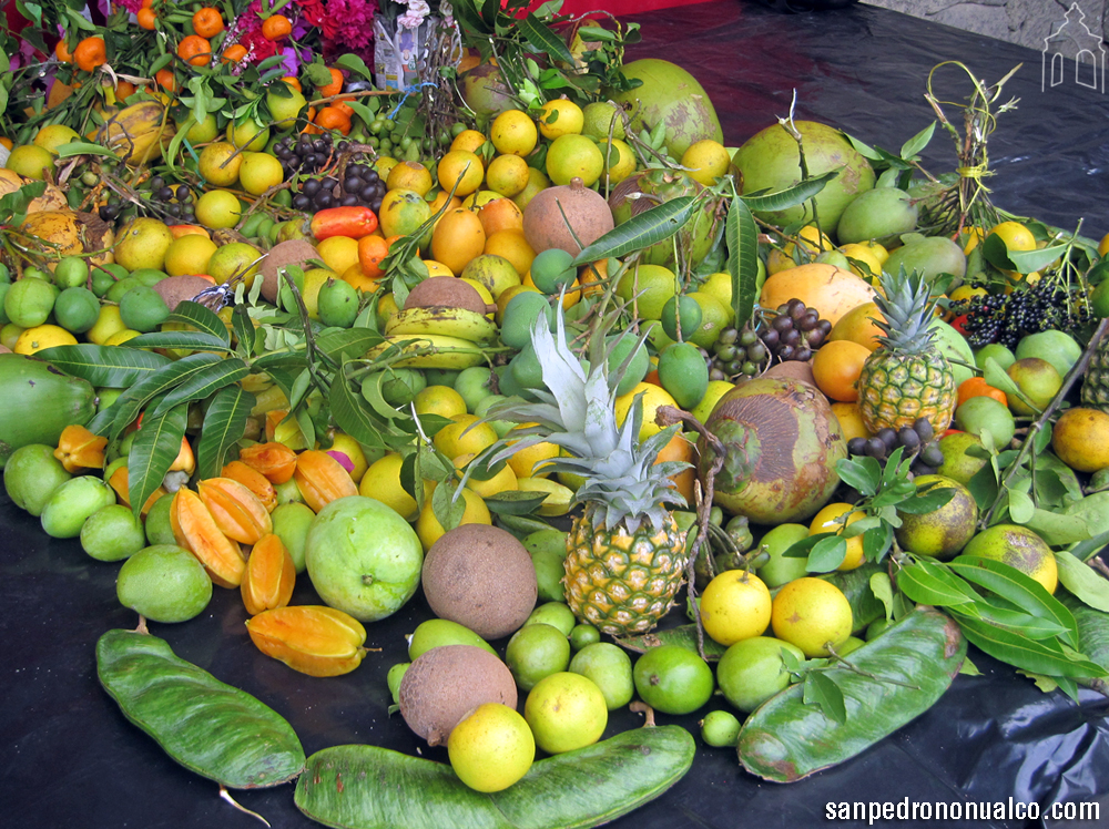 San Pedro Nonualco - Sitio web oficial de los sampedranos: Día de la