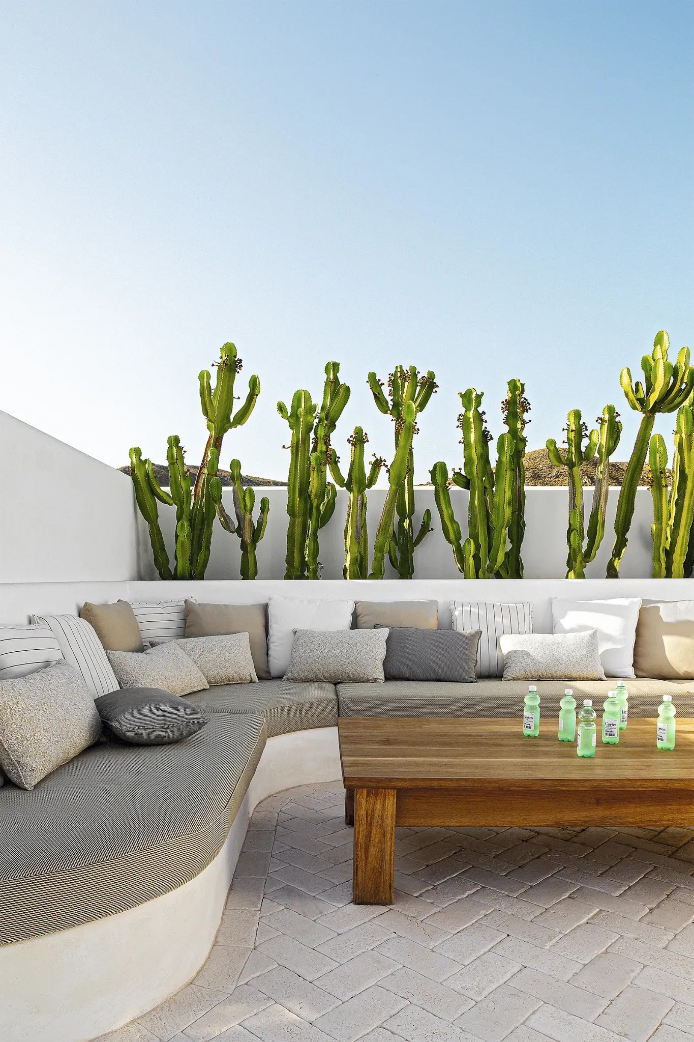 ������� ����� � ����� ���� 8.webp