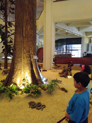 Museum Kehutanan Manggala Wanabakti Jakarta 