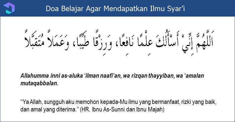 STRUKTUR DAN FUNGSI TUMBUHAN SERTA PEMANFAATANNYA DALAM