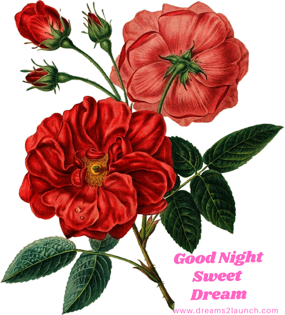 good night images good night images