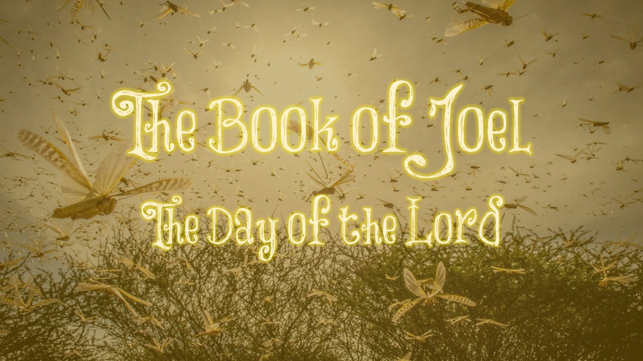 Joel McReynolds Reflections on Reading The Book of Joel