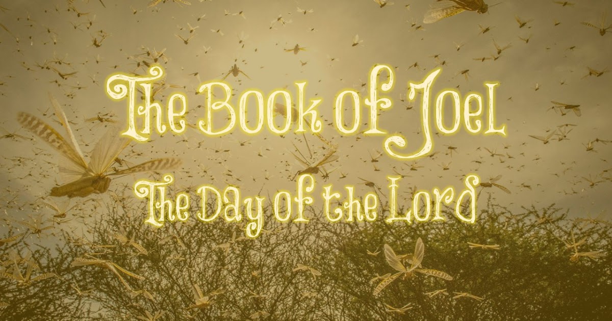 Joel McReynolds Reflections on Reading The Book of Joel