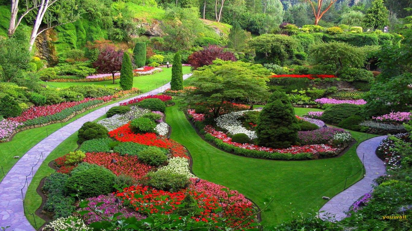 Professional Landscaping Services, Landscaping Companies In Maryland