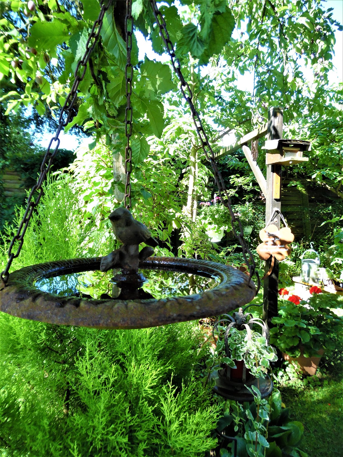 Heidis Grune Ecke Wichtige Hilfen Fur Bienen Und Anderen Insekten