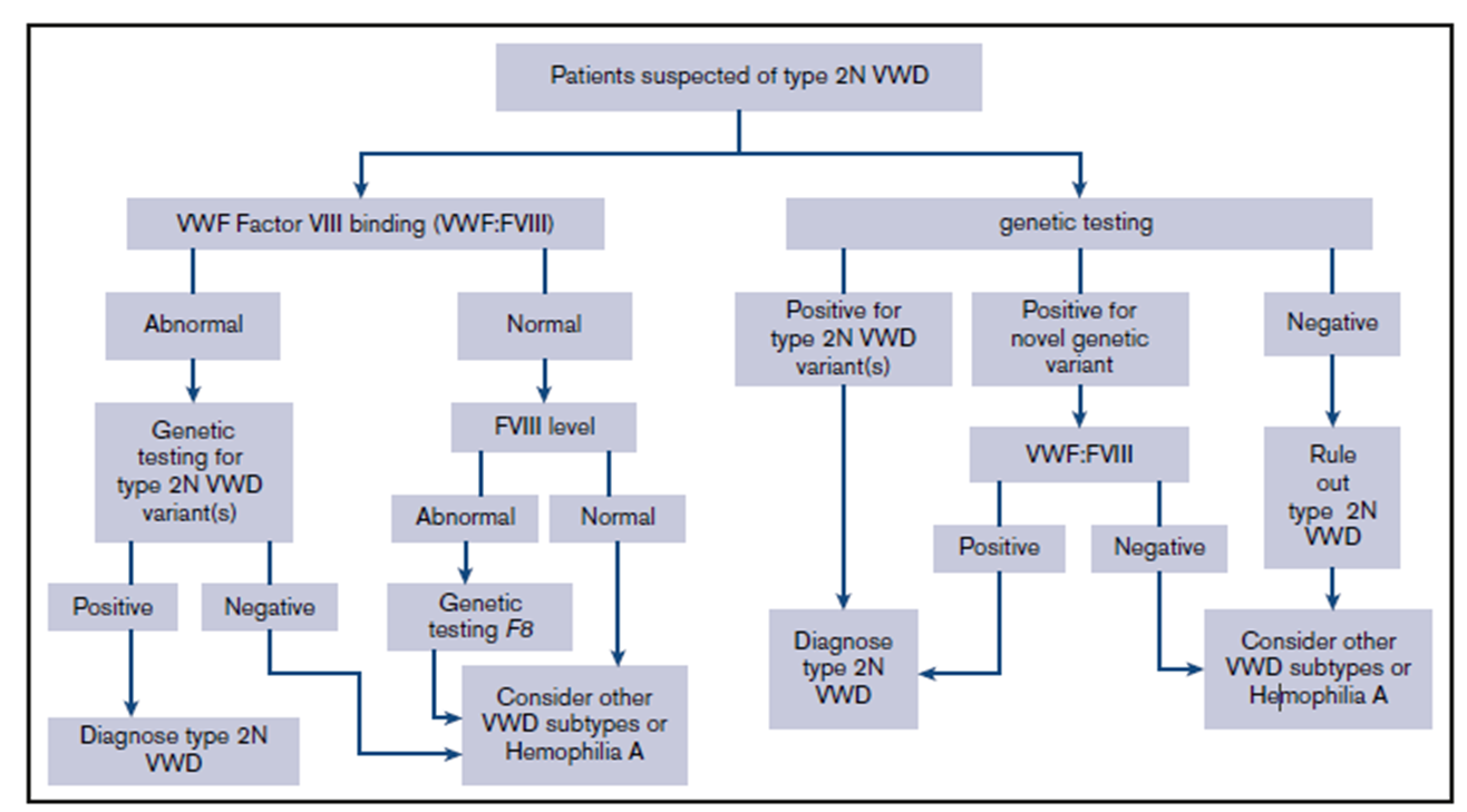 ASH ISTH NHF WFH 2021 guidelines on the diagnosis of von Willebrand