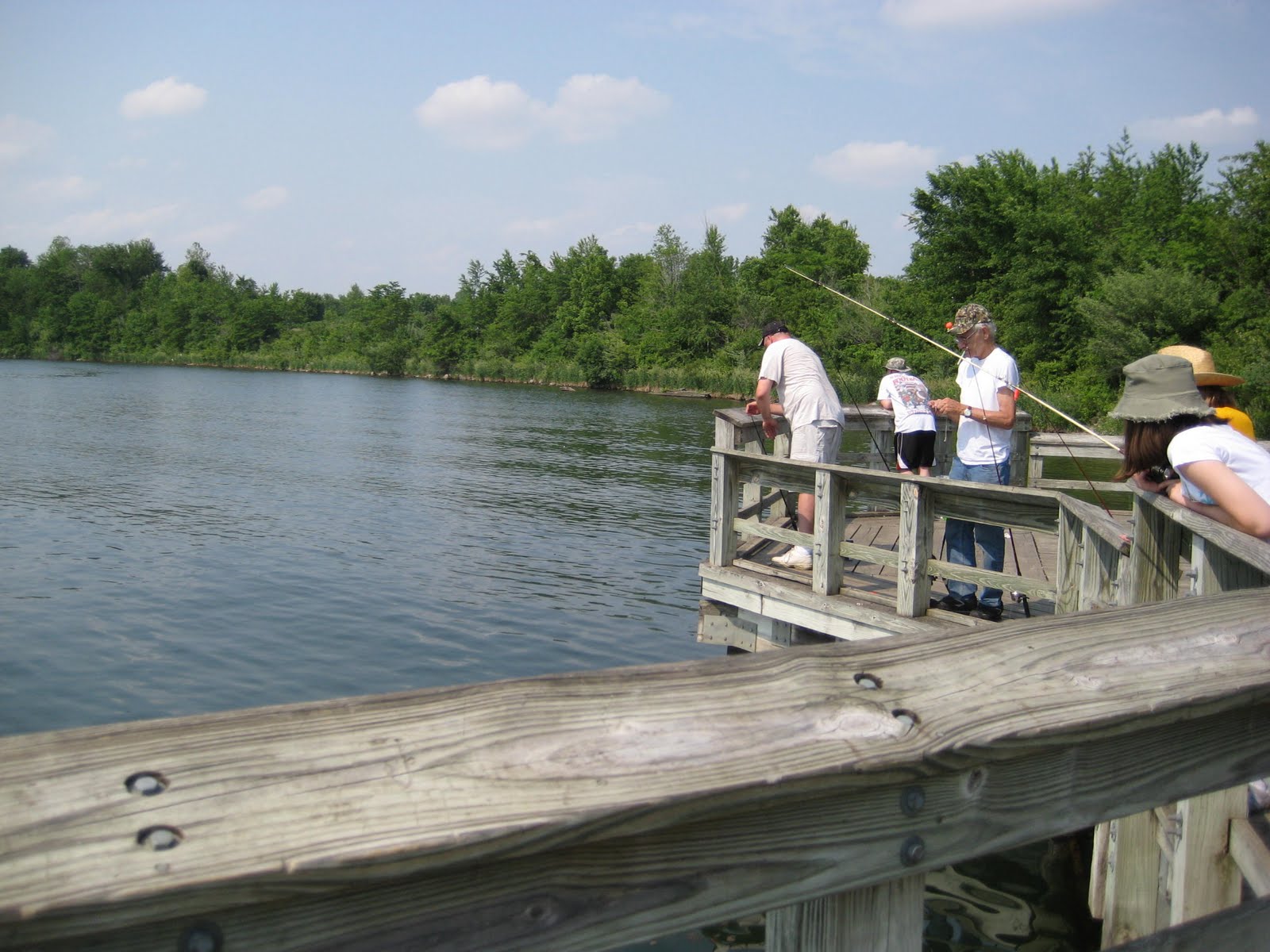 Day's View Photo 156/365 Big Creek State Park