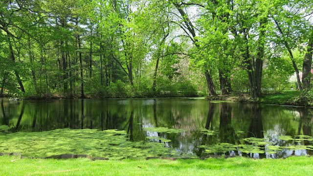 Photo of Family Getaway - The Dow Gardens, Midland 1/17 by Saakshi Kumar