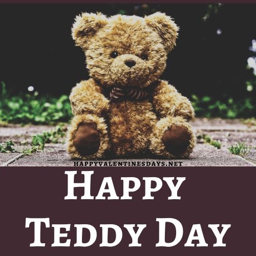 happy-teddy-day-images