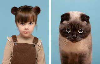 Un fotógrafo compara retratos de gatos y humanos
