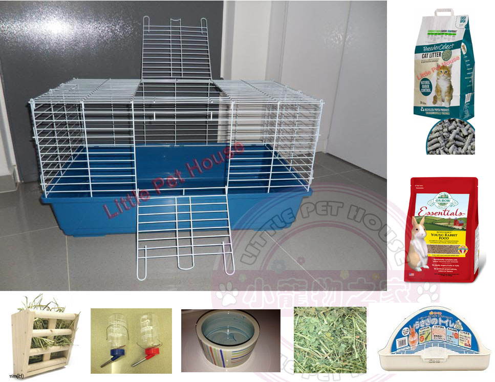 Little Pet House Your Budget Friendly Online Pet Shop in Singapore 2