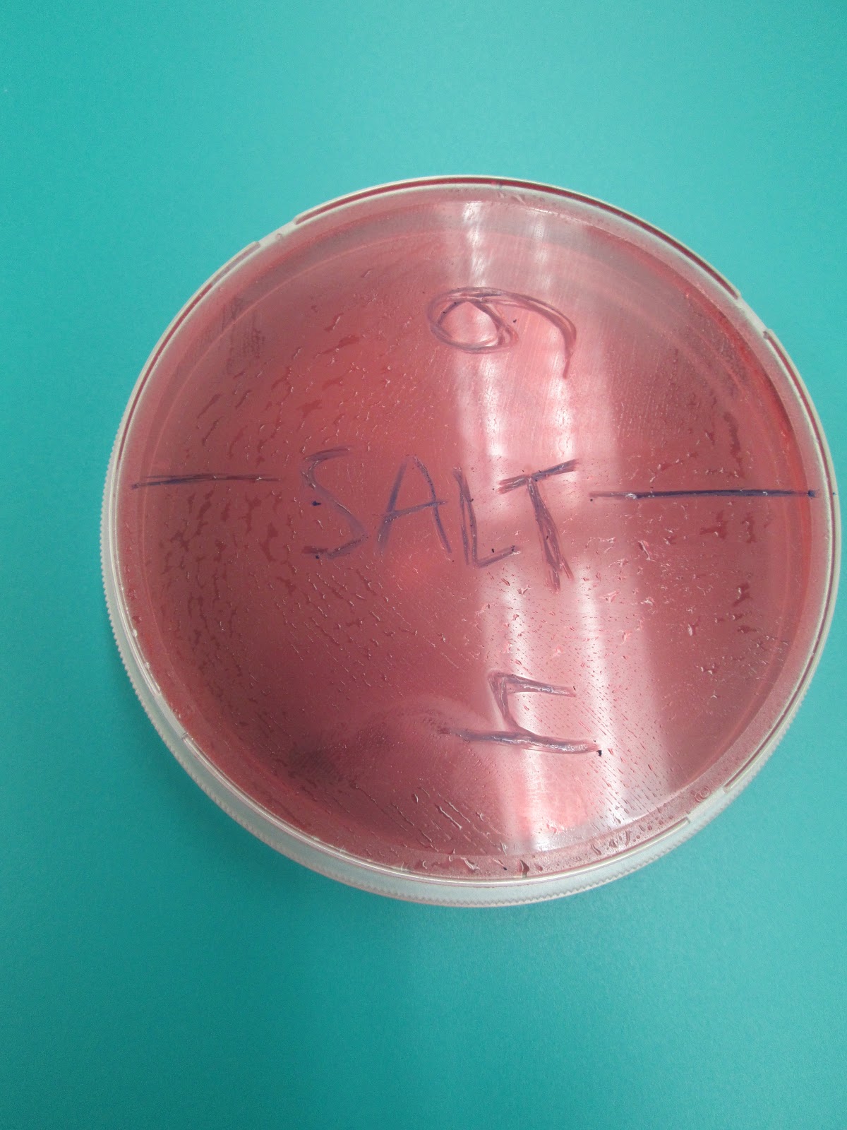 Medical Microbiology