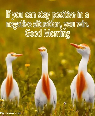 Download Best 15 Gud morning Msg for Whatsapp Download Best 15 Gud morning Msg for Whatsapp