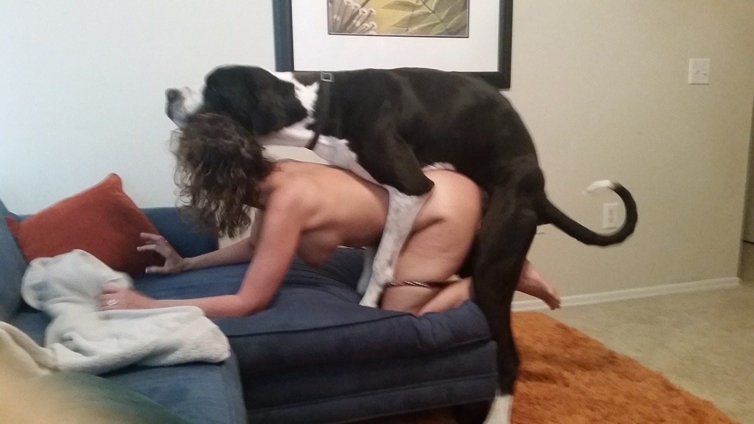 Girl gets fucked by dog