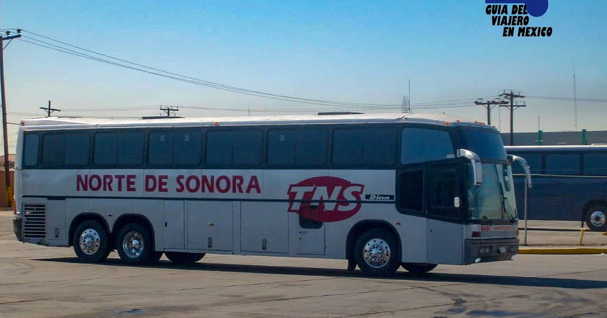 Transportes Norte de Sonora TNS Transportes Norte de Sonora TNS