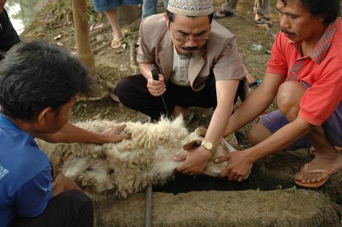 Doa Dan Tata Cara Menyembelih Hewan Kurban Sesuai Dengan Tuntunan Nabi