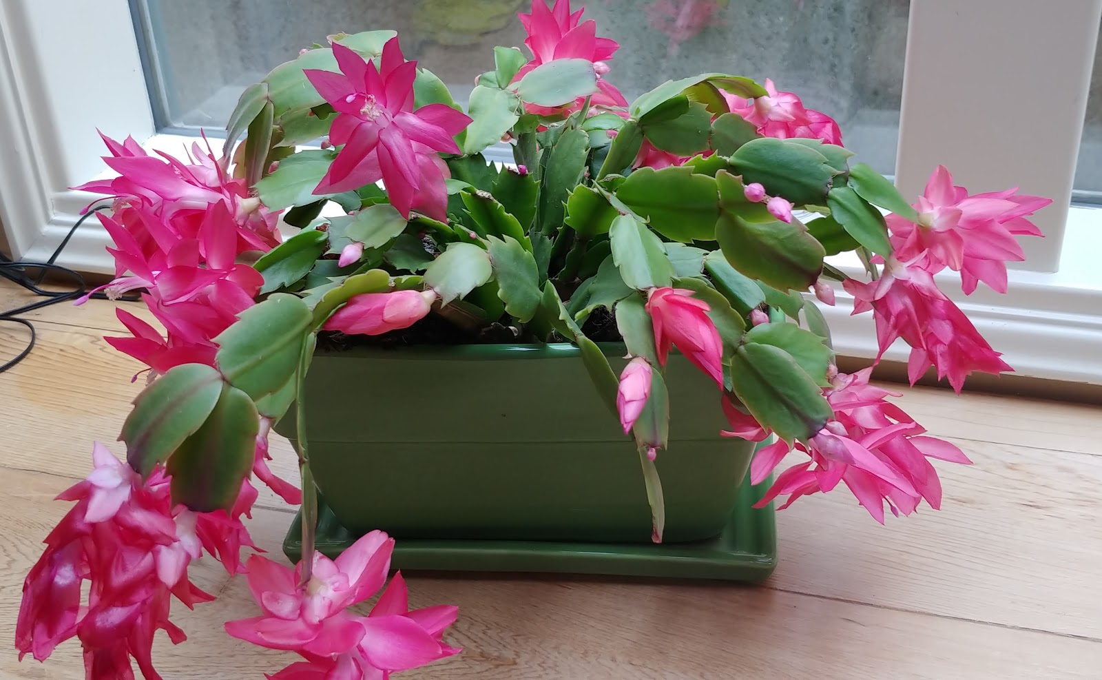 NEVER...EVER...GIVE UP HOPE What Do You Do When You Are Blindsided