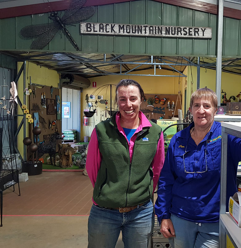 Black Mountain Nursery You Rock! Bountiful Life