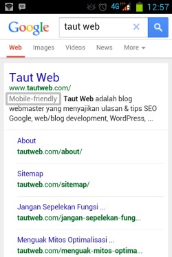 label mobile friendly oleh google pada mobile search