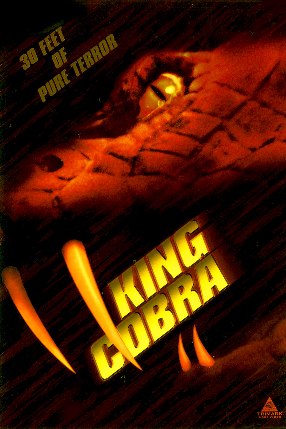 King Cobra 1999 King Cobra 1999