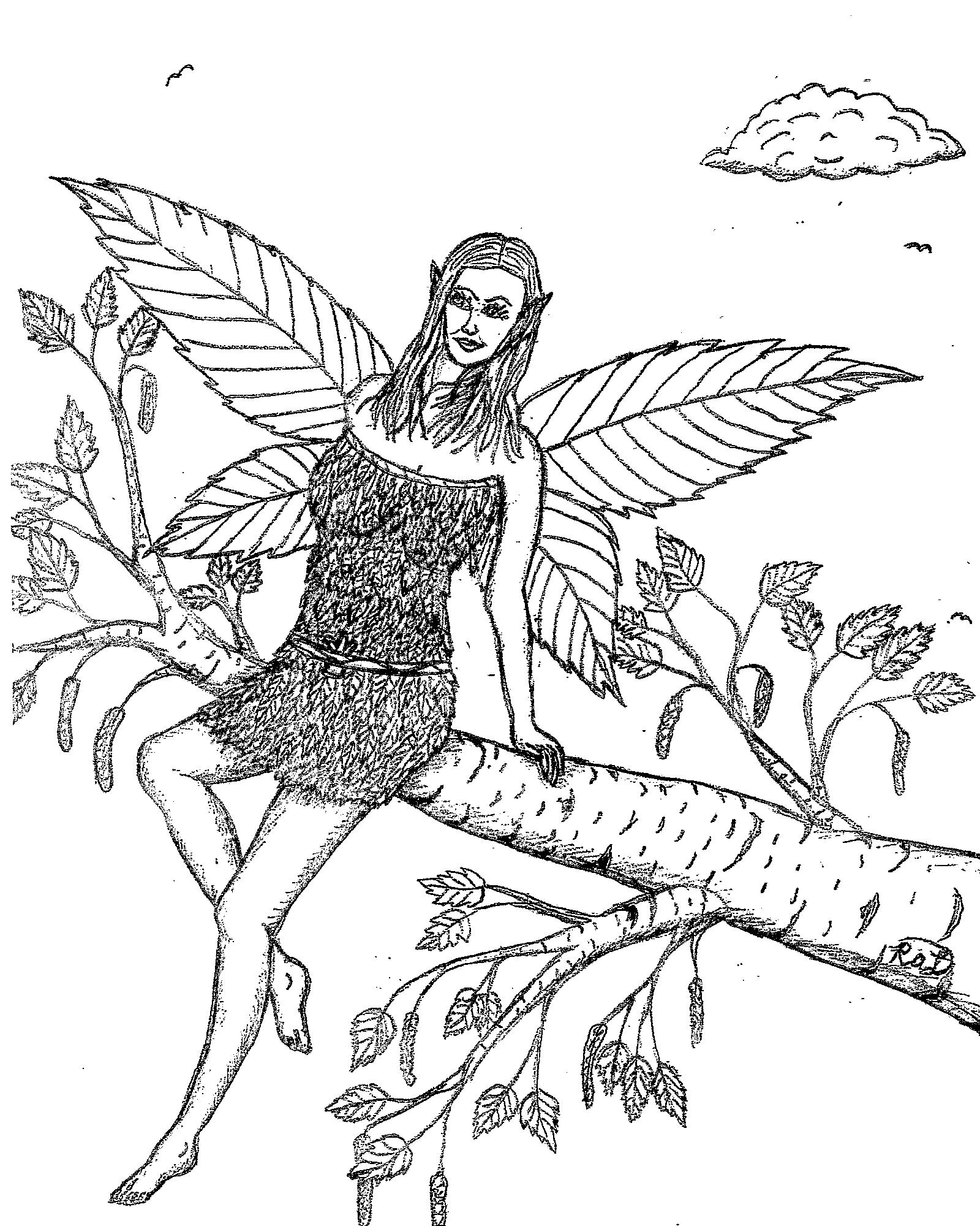 Robin's Great Coloring Pages: Tree Fairies - Birch Tree ...