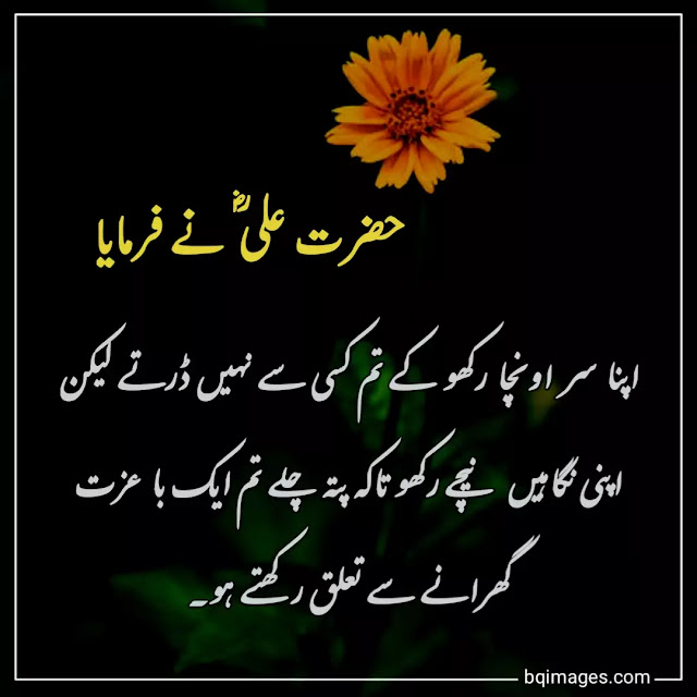 quotes of hazrat ali in urdu