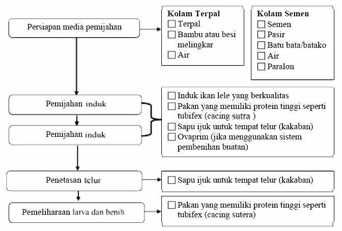 Alat Dan Bahan Pendukung Produksi Pembenihan Ikan Lele