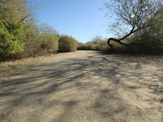 Desert Hiking Path