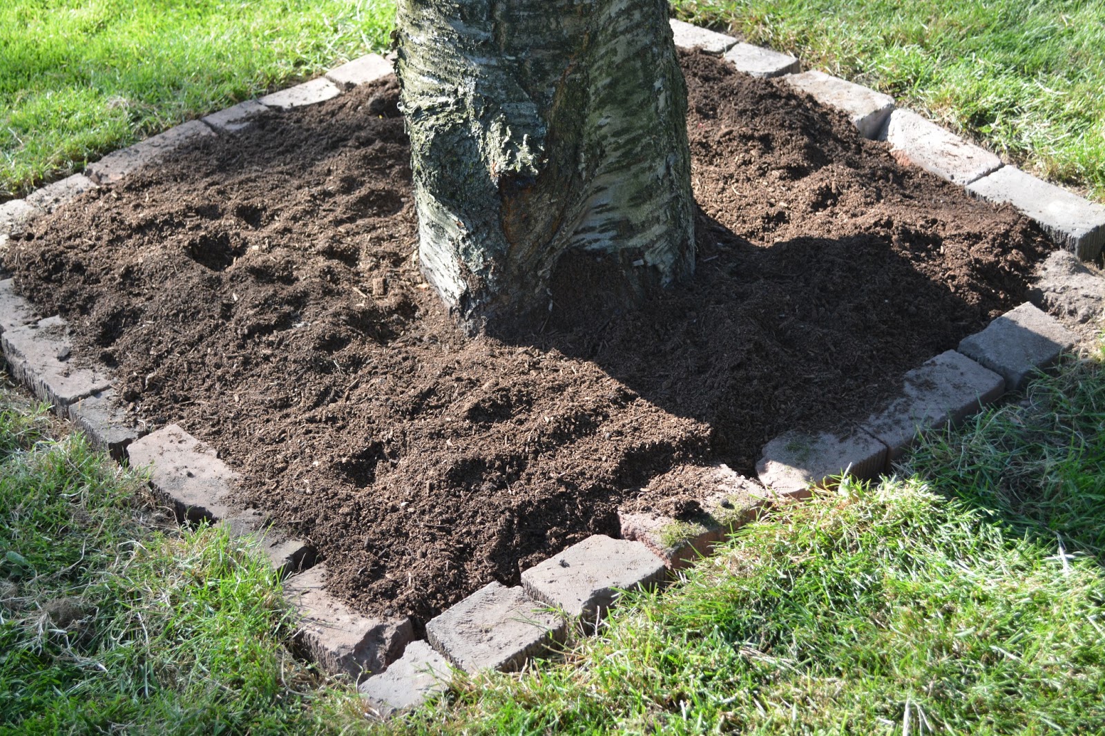 The Beautiful Ordinary Things Cleaned Up Dirt