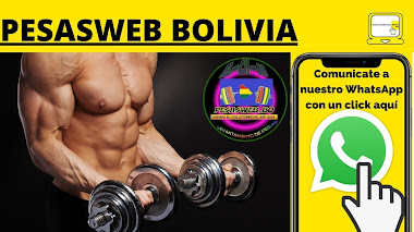 PESASWEB BOLIVIA (LA PAZ)