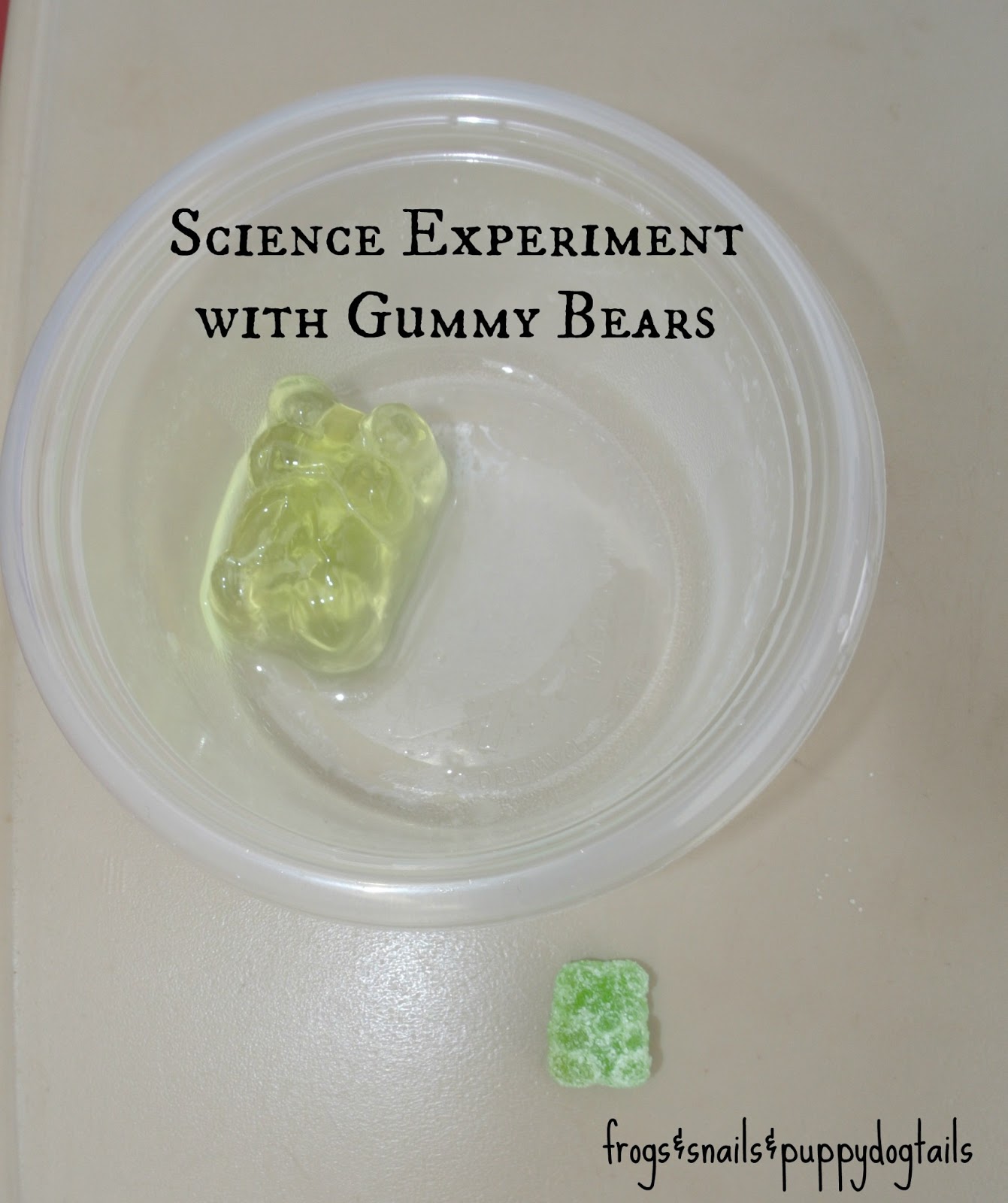 Gummy Bear Science Experiment - FSPDT