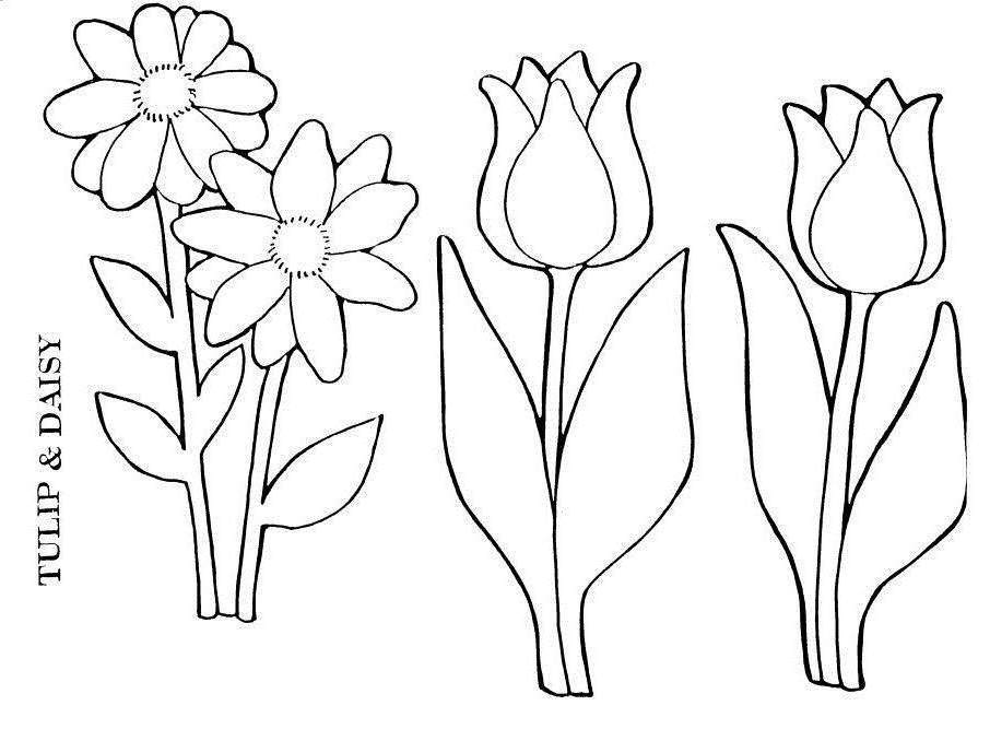 Kids Page: - Gardener And Flower - Of The Coloring Pages