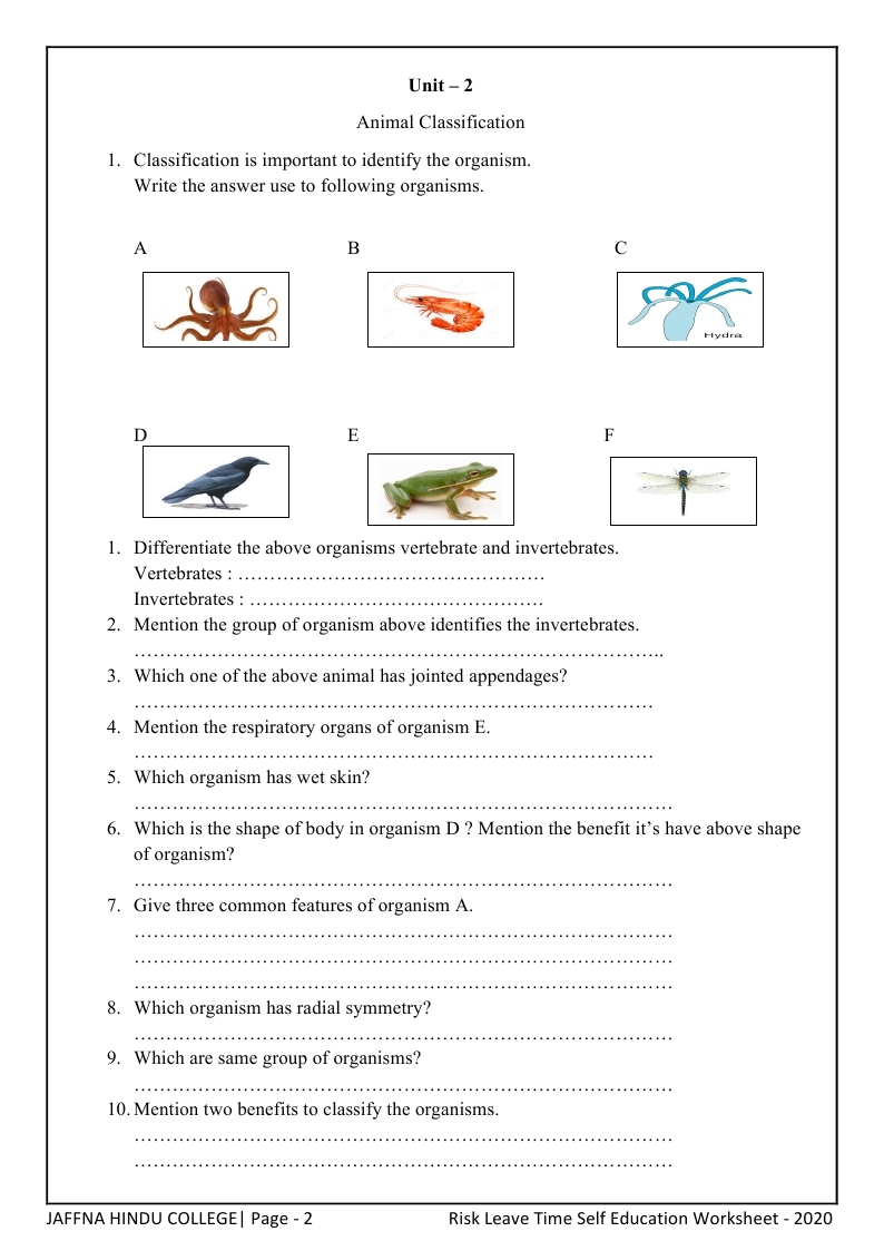 science worksheets grade 8