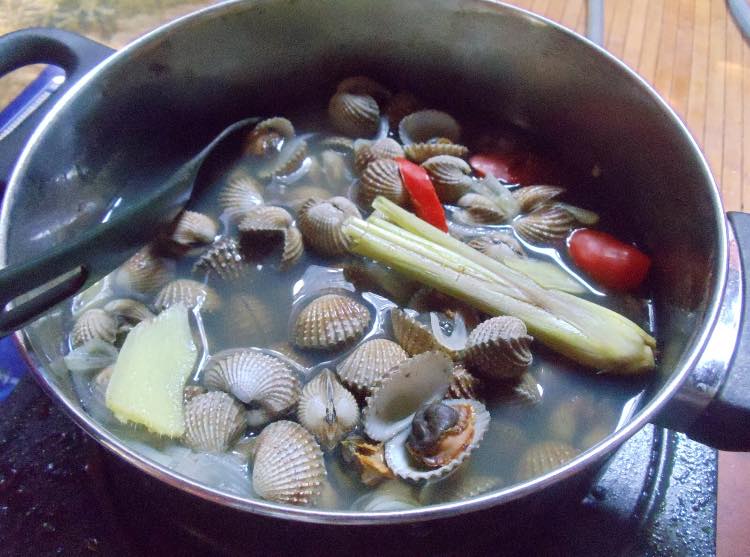 kerang-masak-rebus